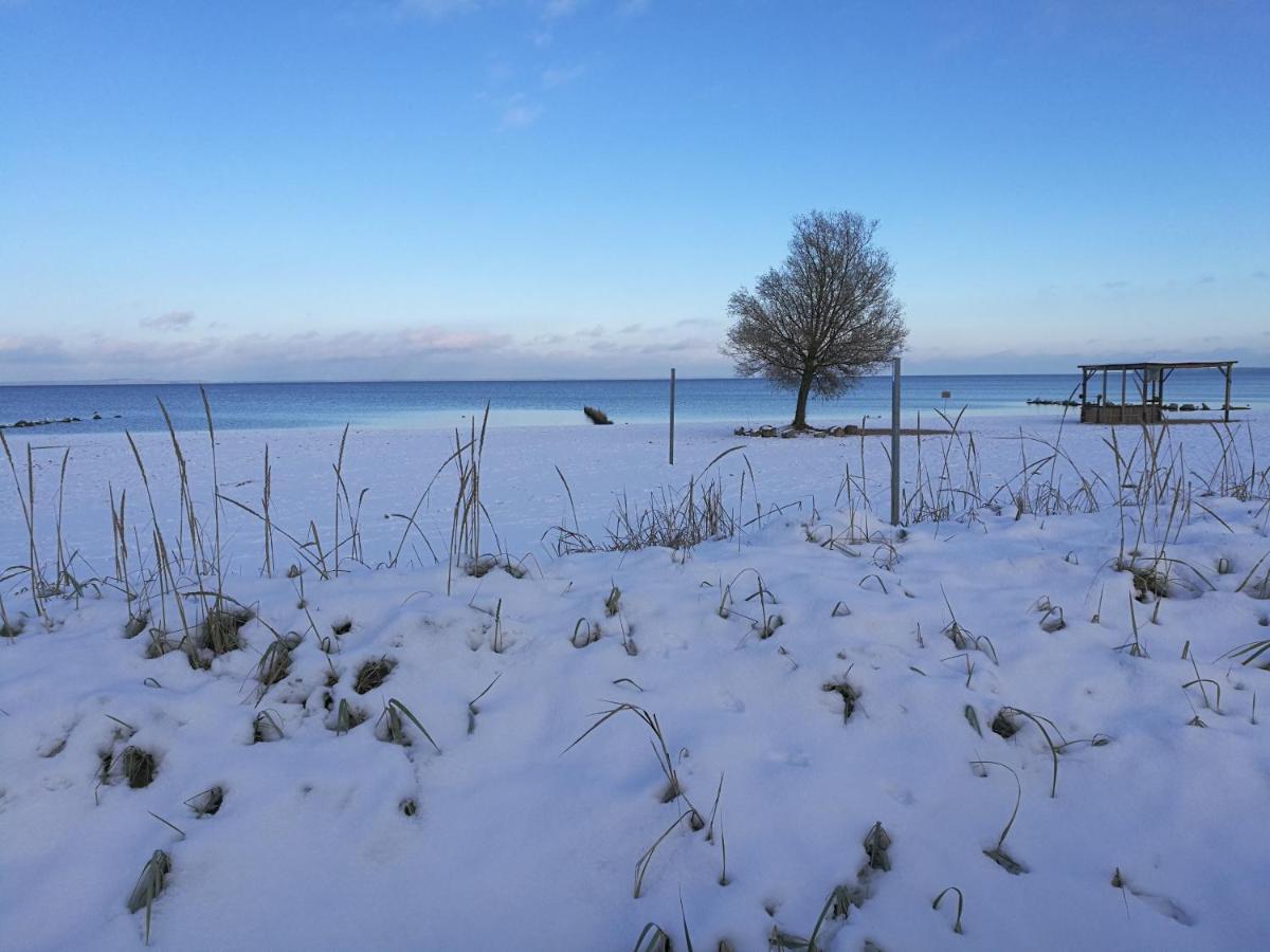 FEWO Hafenblick Ueckermünde Exterior foto